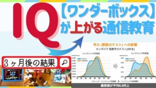 【IQの高い子にする通信教育】ワンダーボックスを３ヶ月続けてみた結果